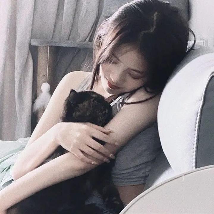 瑞士小姐封面